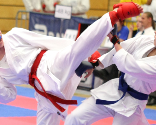 Internationales Karate-Turnier 